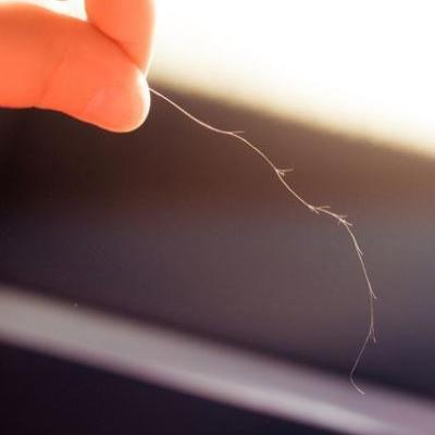 Обзор машинок для стрижки секущихся кончиков волос