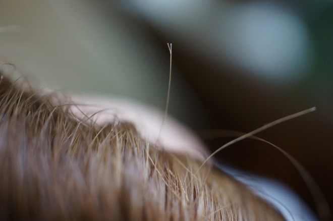 5 советов от парикмахеров, как правильно стричь волосы