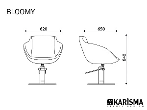 Кресло парикмахерское BLOOMY - 2