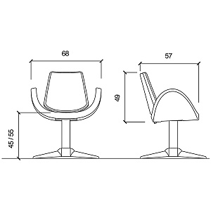 Кресло парикмахерское ALIPES CHAIR - 6